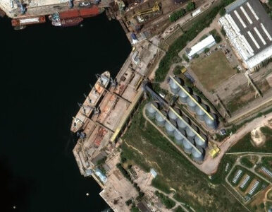 Rosjanie kradną zboże z ukraińskich statków. Zdjęcia satelitarne dowodem