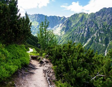 Miniatura: Popularny szlak w Tatrach znów otwarty....