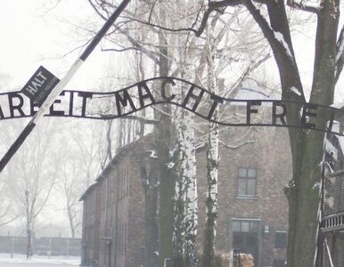 Miniatura: Klose i Podolski w Auschwitz