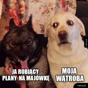 Mem związany z majówką 