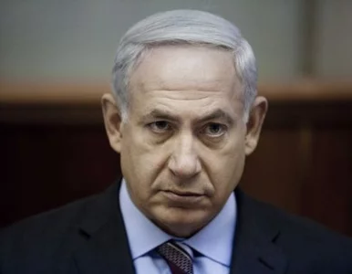 Miniatura: Świnie, wynocha z Izraela!