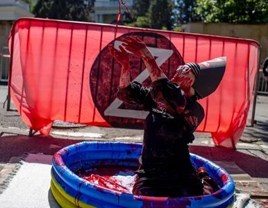 Miniatura: Symboliczny protest aktywistki. Wykąpała...