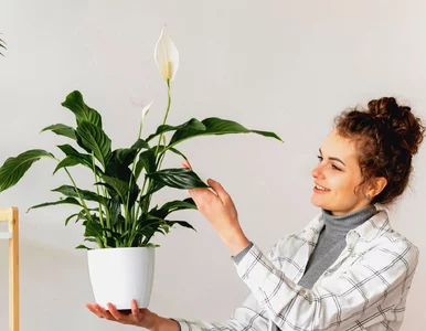 Miniatura: Domowe odżywki, które pobudzą...