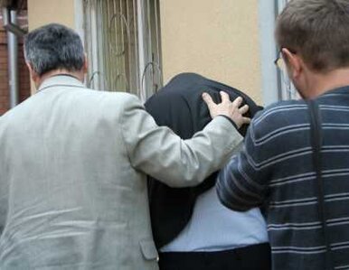 Miniatura: Sprawa Olewnika: sąd nie aresztował...