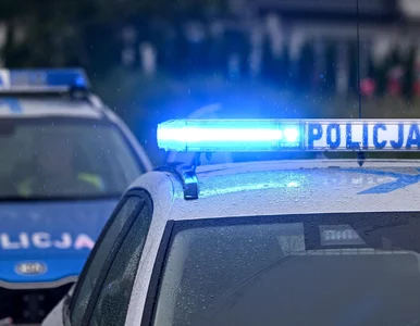 Miniatura: Mieli biegać z bronią po podwórku i grozić...