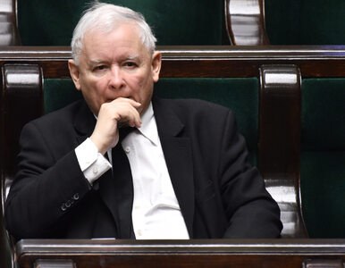 Miniatura: Kaczyński ocenia motywacje opozycji ws....