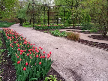 Ogród Botaniczny Uniwersytetu Warszawskiego w Warszawie 