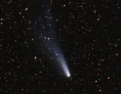 Miniatura: Kometa Halleya skierowała się ku Ziemi....
