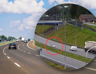 Miniatura: Sekundy od tragedii. Senior pędził pod...