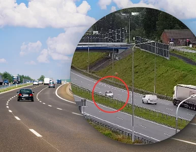 Miniatura: Sekundy od tragedii. Senior pędził pod...