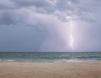 Miniatura: Wyjątkowo rzadkie zjawisko na plaży. Młody...