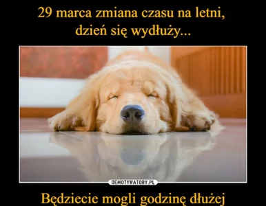 Miniatura: W nocy pośpimy godzinę krócej. Te MEMY...