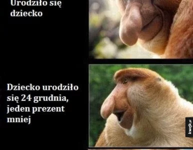 Miniatura: To zdarza się tylko co cztery lata. Zobacz...