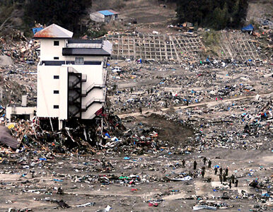 Miniatura: Japonia: nowy bilans ofiar kataklizmu