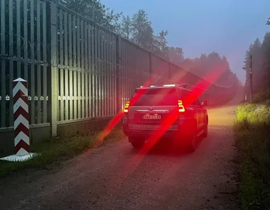 Miniatura: Próbują dostać się do Polski wbrew...