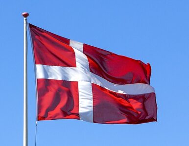 Miniatura: Dania wprowadza kontrole na granicy z...