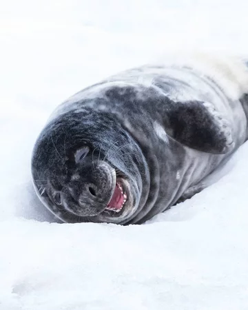 Autorem zdjęć jest Ossi Saarinen 