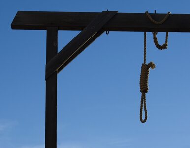 Miniatura: Rośnie liczba kar śmierci w Iranie. Coraz...