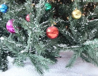 Miniatura: Święta posłów, czyli wigilia w...