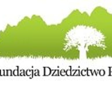 Miniatura: Pierwsze dwa tysiące starych drzew czeka...