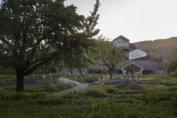 Naturalistyczny ogród Pieta Oudolfa na Vitra Campus w Weil am Rhein – przykład harmonii między dzikością a precyzyjnym projektowaniem 