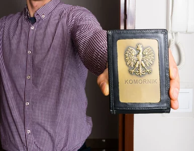 Miniatura: Komornik sięgnie po najniższą krajową?...