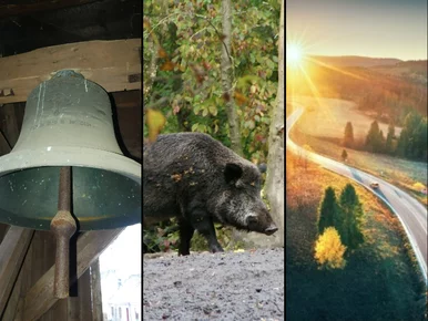 Miniatura: QUIZ jak krzyżówka. Chylimy czoła, jeśli...