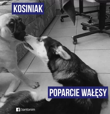 Mem z Lechem Wałęsą 