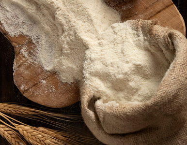 Miniatura: Te robaki mogą opanować całą kuchnię....