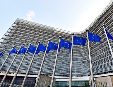 Miniatura: UE zawiesi wszystkie cła na import z Ukrainy