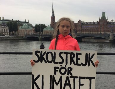 Miniatura: Greta Thunberg ma rację. Zabraliśmy młodym...