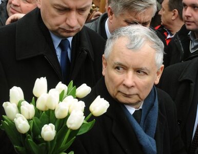 Miniatura: Kaczyński i politycy PiS złożyli kwiaty...