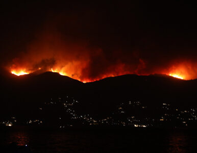 Miniatura: Pożar widać z Albanii. Płonie kolejna...