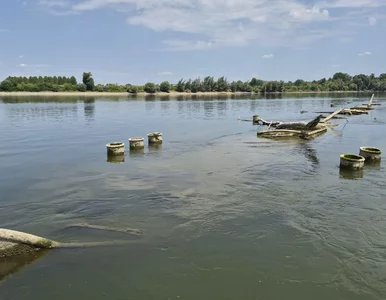 Miniatura: Niski poziom Dunaju ujawnił niezwykłe...