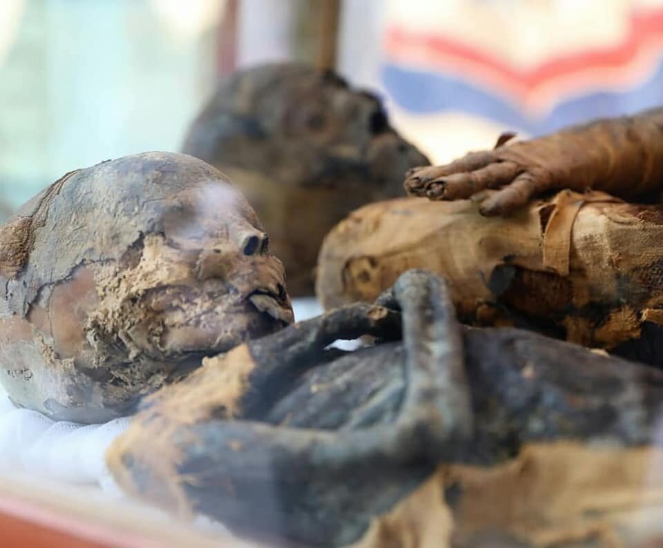 Mumie myszy, kotów i ptaków. Fascynujące znalezisko w Egipcie Zmumifikowane ciała znalezione w grobowcu. Ciało kobiety, która w momencie śmierci miała od 35 do 50 lat i  chłopca w wieku 12-14 lat