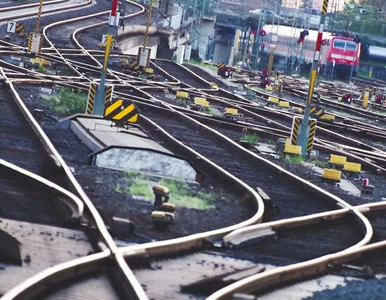 Miniatura: Kolej Dużych Prędkości Warszawa-Łódź....