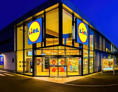 Miniatura: Lidl szykuje obłędne promocje. 10+10...