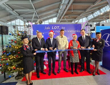 Miniatura: Rovaniemi to nie tylko wioska św....