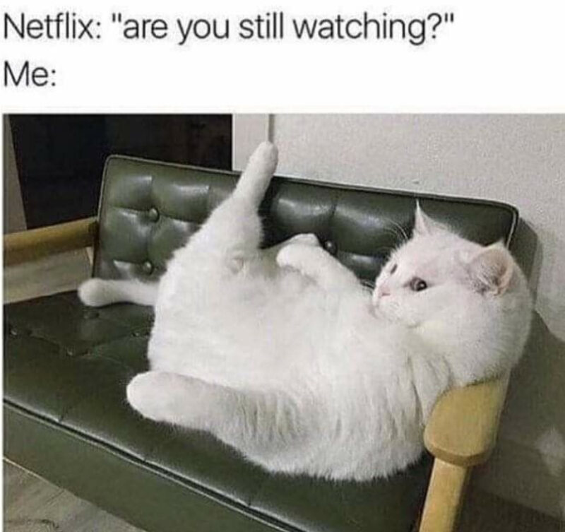 Mem zainspirowany serwisem Netflix „Netflix: Wciąż oglądasz? Ja:”