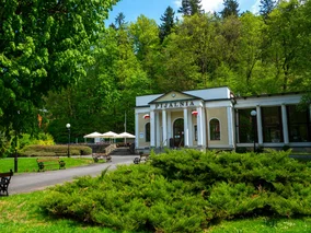 Miniatura: Słońce, piękne widoki i SPA. W tych...