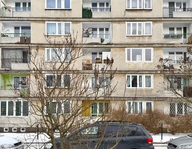 Miniatura: Rewolucja w spółdzielniach mieszkaniowych....