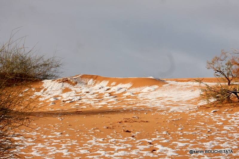 Śnieg na Saharze 