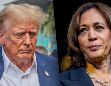 Miniatura: Trump vs. Harris. Są wyniki nowego...