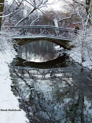 Park Skaryszewski fot. Wanda Modzelewska