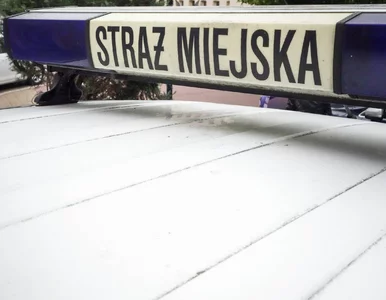 Miniatura: Chciał zjeść hot doga na ulicy, zdjął...