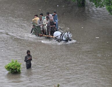 Miniatura: Monsun w Pakistanie zabił już ponad 50...