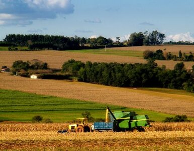 Miniatura: Szykuje się najbardziej nowoczesny spis rolny