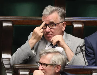 Miniatura: Czego nie zobaczylibyśmy bez sejmowych...