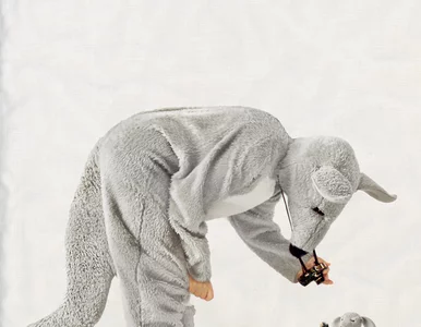 Miniatura: Wielki sukces polskiej artystki. Wystawa...