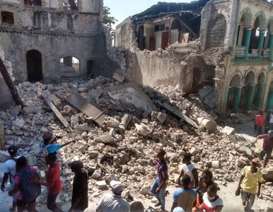 Miniatura: Trzęsienie ziemi na Haiti, 1300 ofiar...
